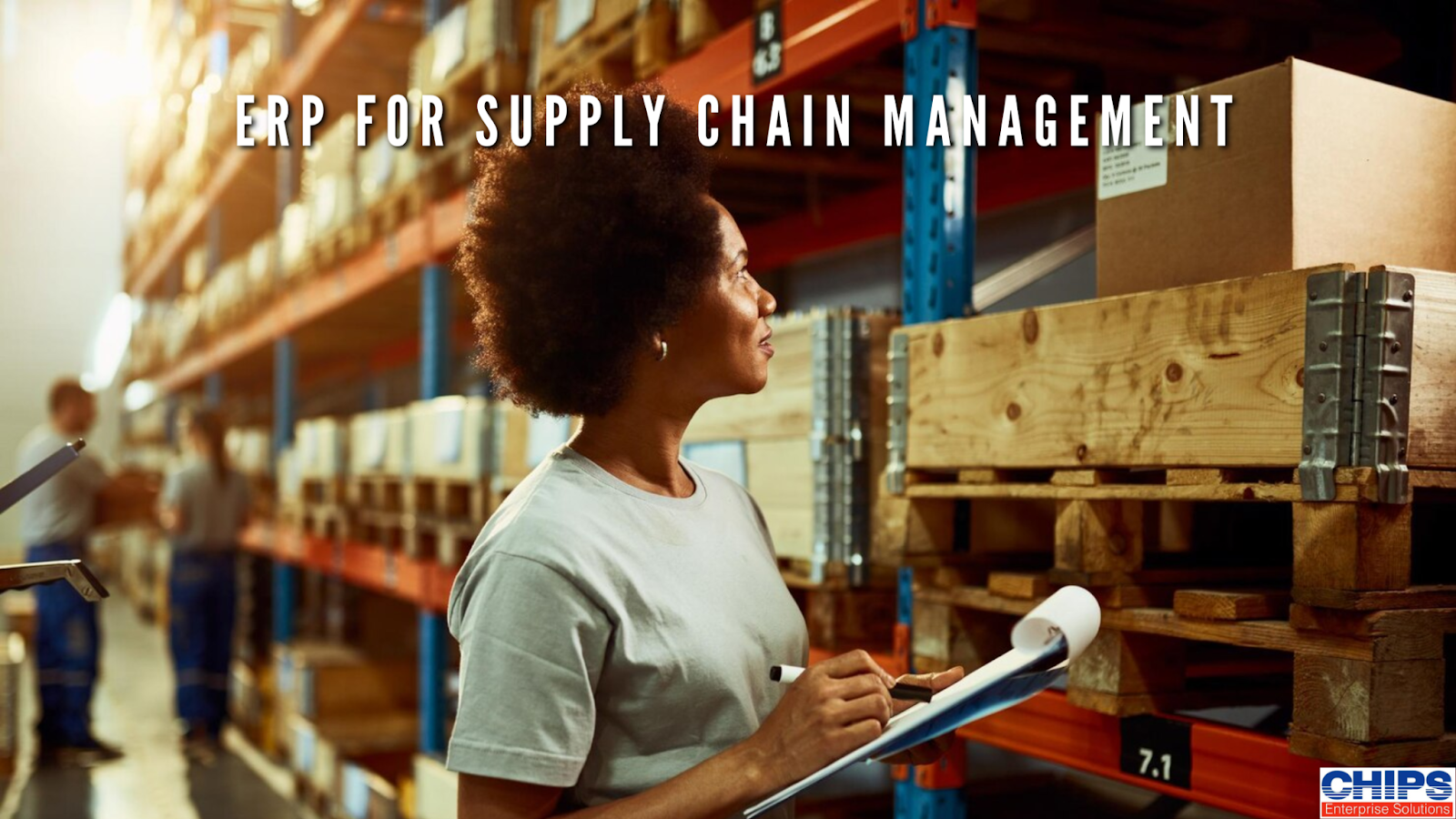 Read more about the article ERP Systems in Supply Chain Management: Optimising Inventory, Distribution, and Procurement